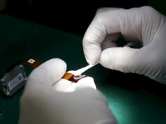 Philippine factory activity rebounds in October despite drop in new orders, output