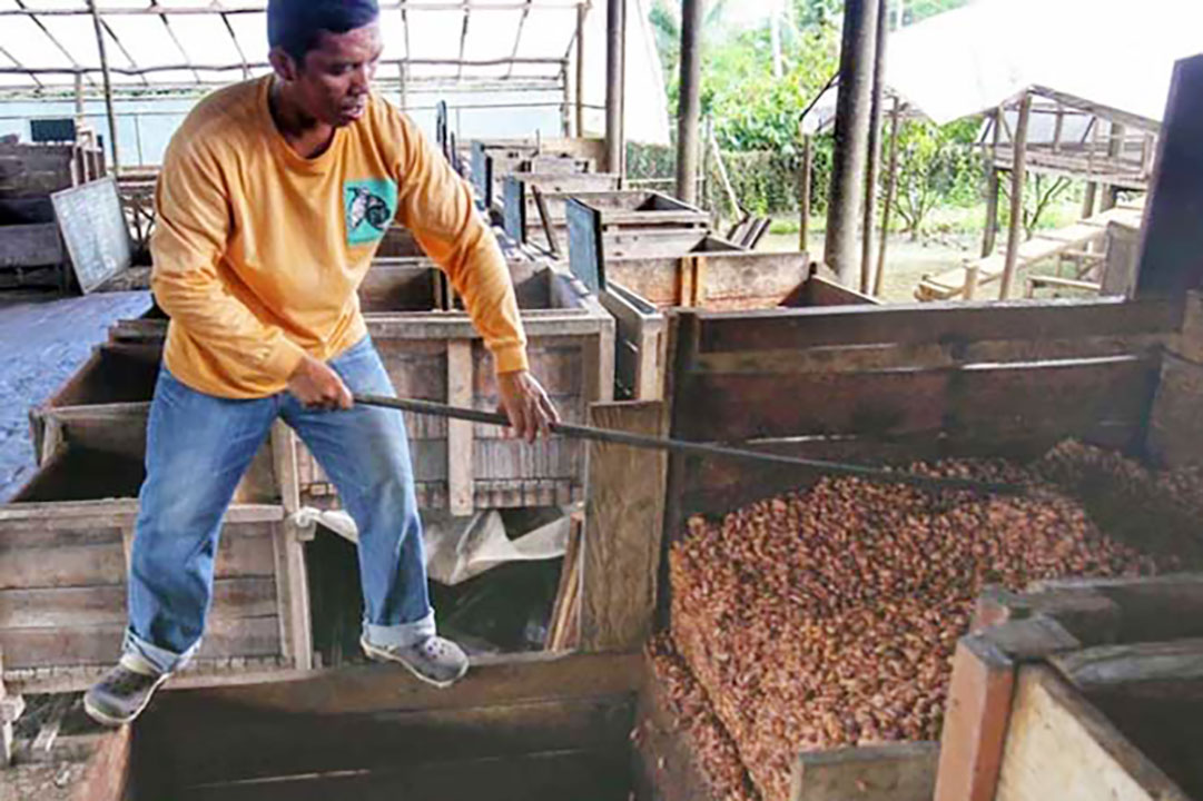 Cacao-beans-091718