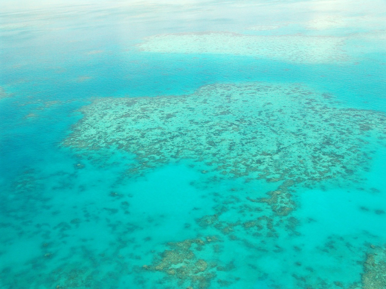 great-barrier-reef
