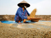 Foreign rice suppliers warned against raising prices in PHL