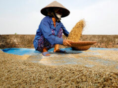 Foreign rice suppliers warned against raising prices in PHL