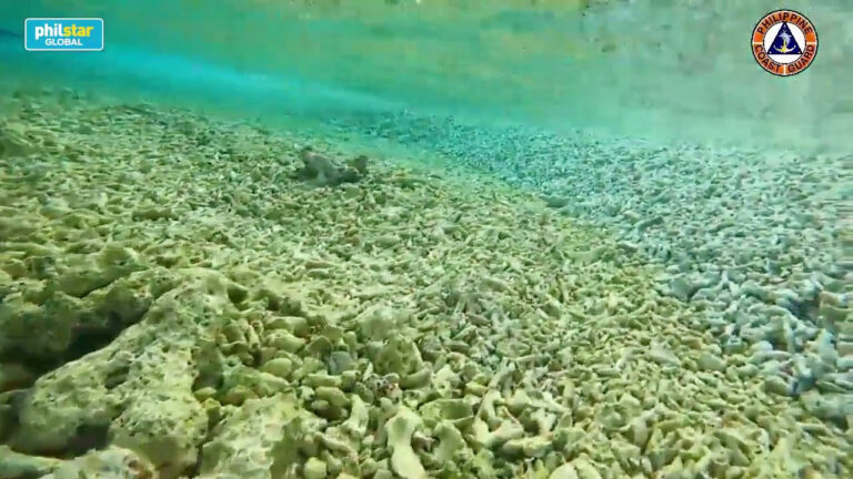 China vessels ‘swarming’ at disputed reef in South China Sea, says PCG