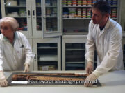 Roman-era swords, likely Jewish rebel booty, unearthed in Israel