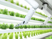 Pandemic, geopolitical risks force agro-food companies to innovate