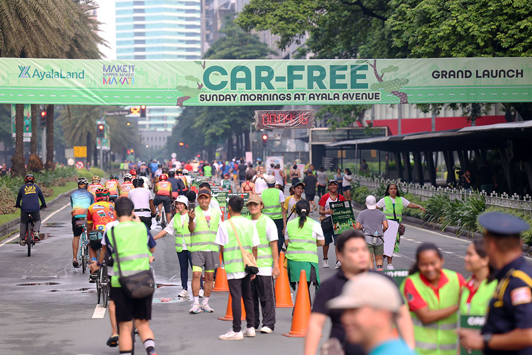 Ayala-car free