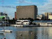 Yields on BSP’s term deposits continue to drop