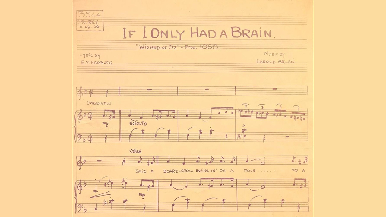 If I Only Had a Brain