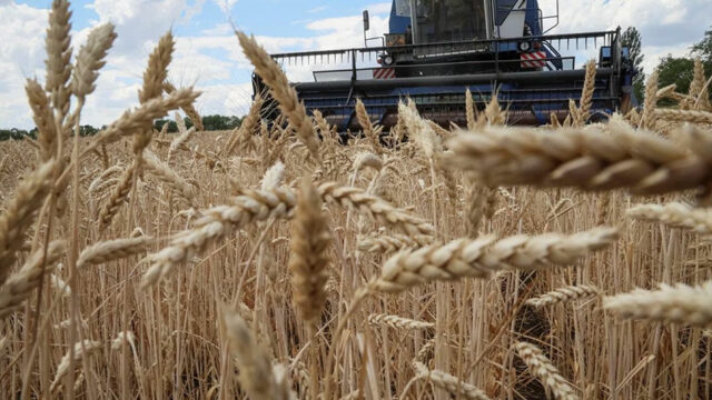Ukraine-Farmers harvest wheat