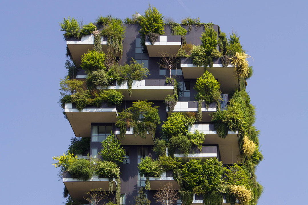 building-plants-green cities