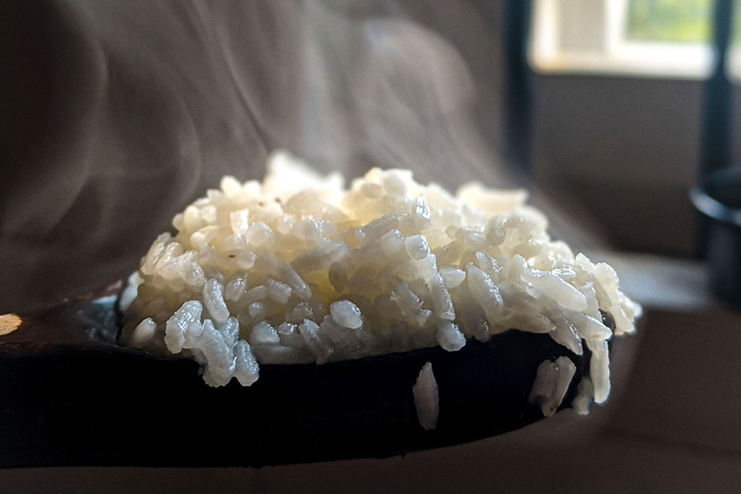 cooked rice