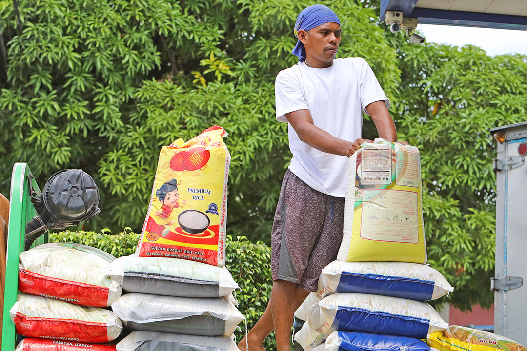 rice-worker-wc