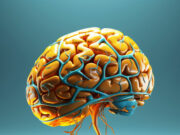 Human brains aren’t wired to fight climate change