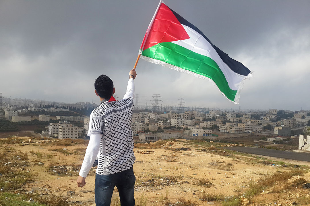 Palestine flag