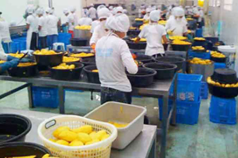 factory-worker