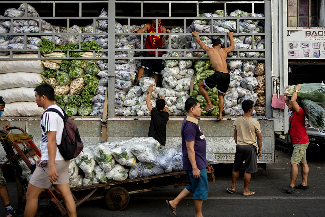 vegetables-workers
