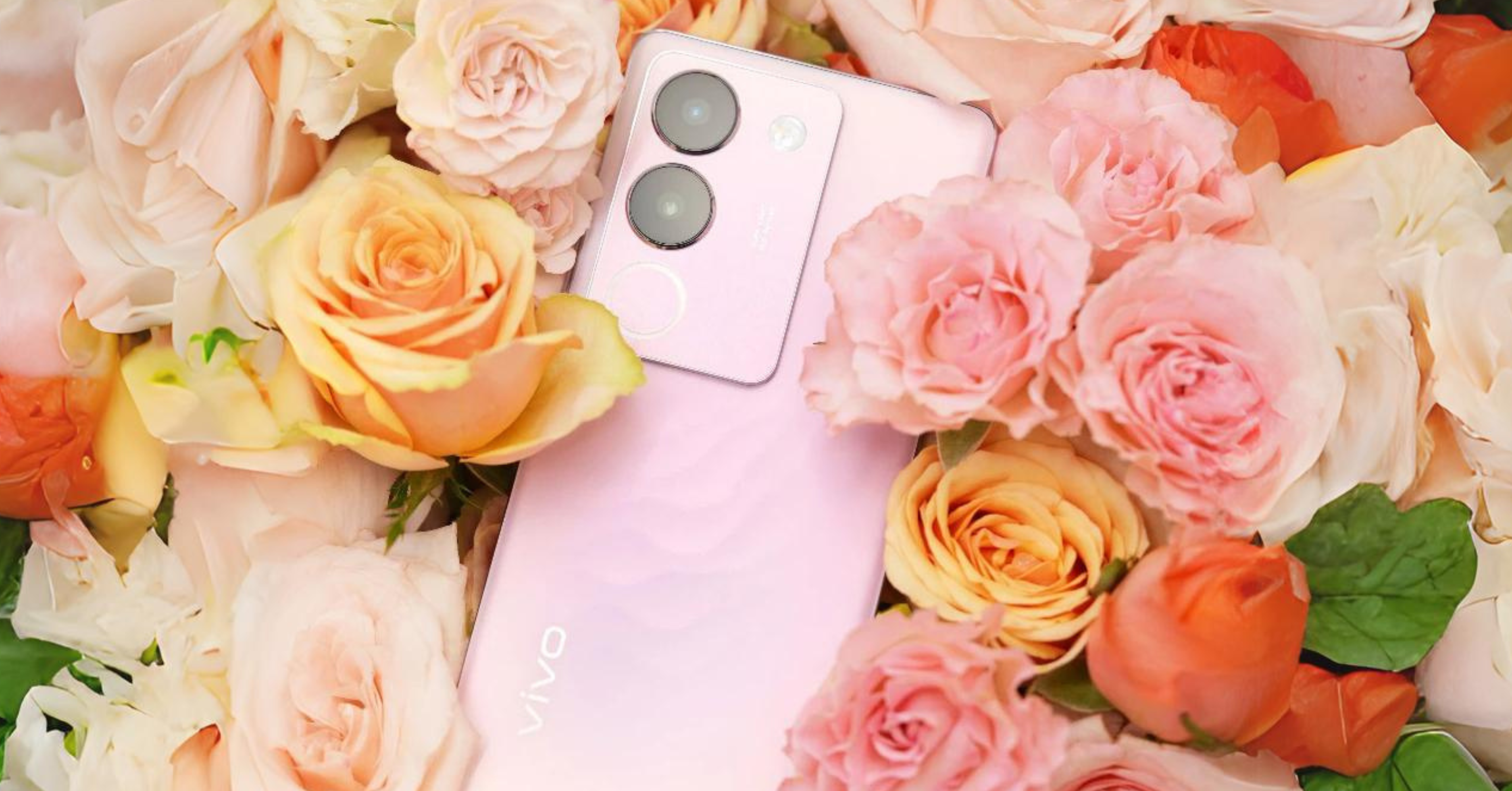 vivo V29 5G Rose Pink