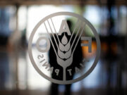 FAO eyes farm entrepreneurship projects with indigenous peoples