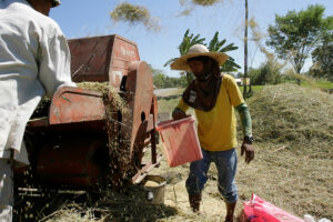 PHL expected to import more rice due to El Niño