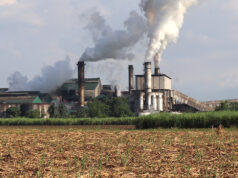 Sugar millers oppose scheme linking import eligibility to exports under US quota scheme