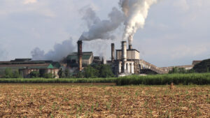 Sugar millers oppose scheme linking import eligibility to exports under US quota scheme