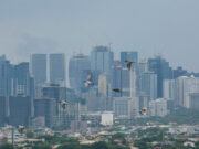 REITs expected to do better in 2024