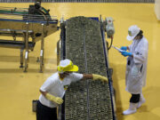 Philippine factory activity falls to 3-month low in March amid spike in energy costs