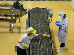 Philippine factory activity falls to 3-month low in March amid spike in energy costs