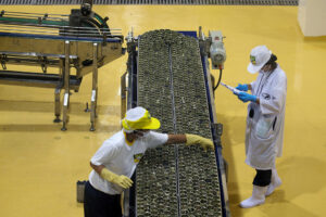 Philippine factory activity falls to 3-month low in March amid spike in energy costs