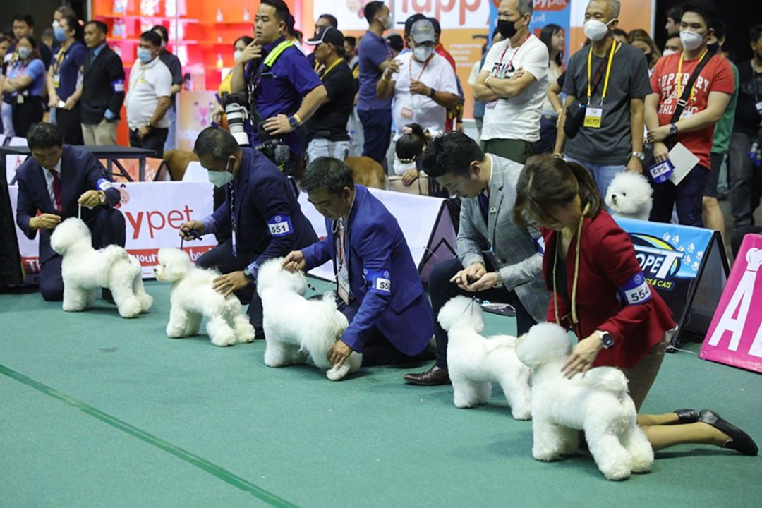 PCCI-Annual-Dog-Show-1