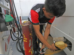 Biodiesel group urges caution on proposed biofuels act changes