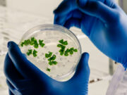 Combatting antimicrobial resistance