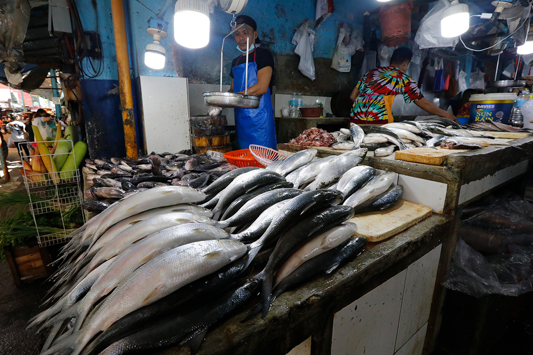 Fish-Market-vendor