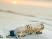 Thai resort island Phuket grapples with growing garbage crisis