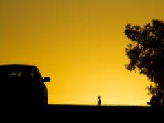 US to probe if Chinese cars pose national data security risks