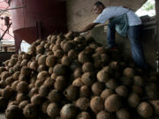 Farmers yet to feel benefits of improved agricultural trade balance, analysts say