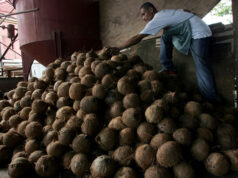 Farmers yet to feel benefits of improved agricultural trade balance, analysts say