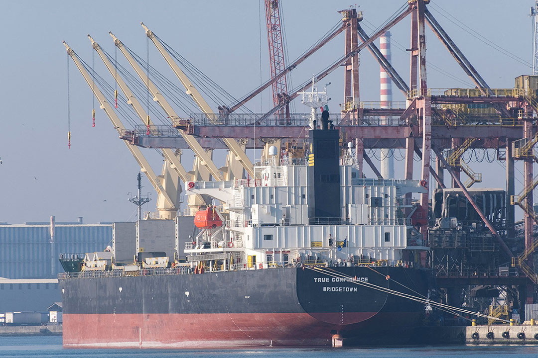 True Confidence -bulk carrier vessel-