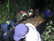 P72-M cannabis farm raided