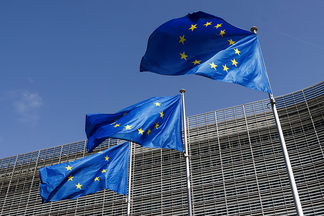 EU-European Union flags