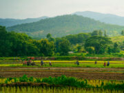 Farmland reclassification suspended until June