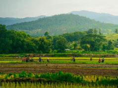 Farmland reclassification suspended until June