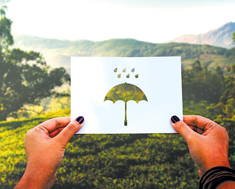 SF_rainy-season-perforated-paper-umbrella_FREEPIK-OL