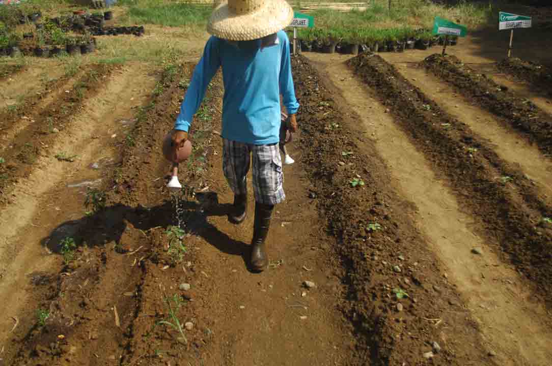 farming