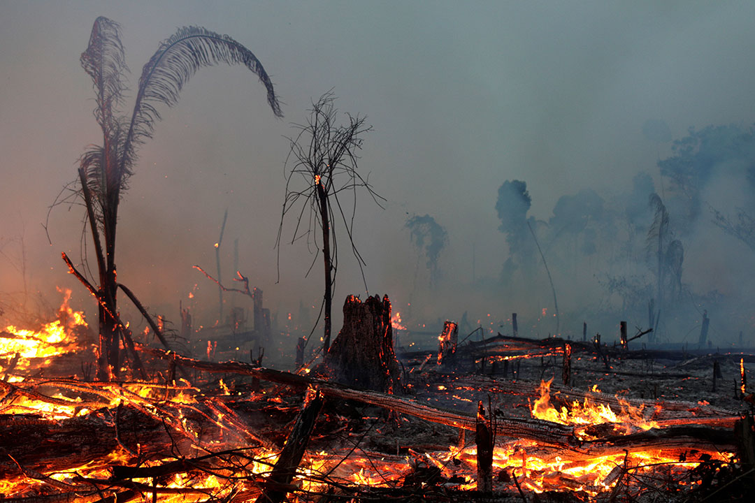 Brazil-Wildfire