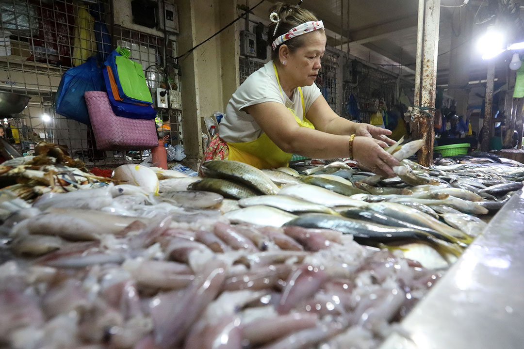 Fish market-vendor