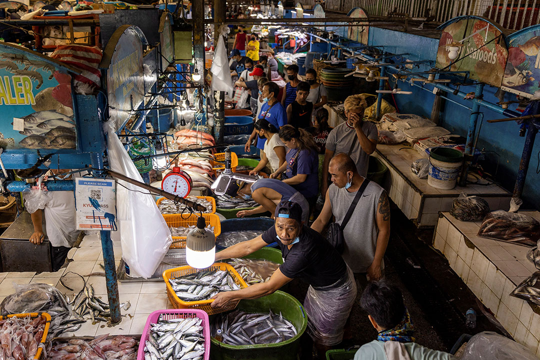 Fish market