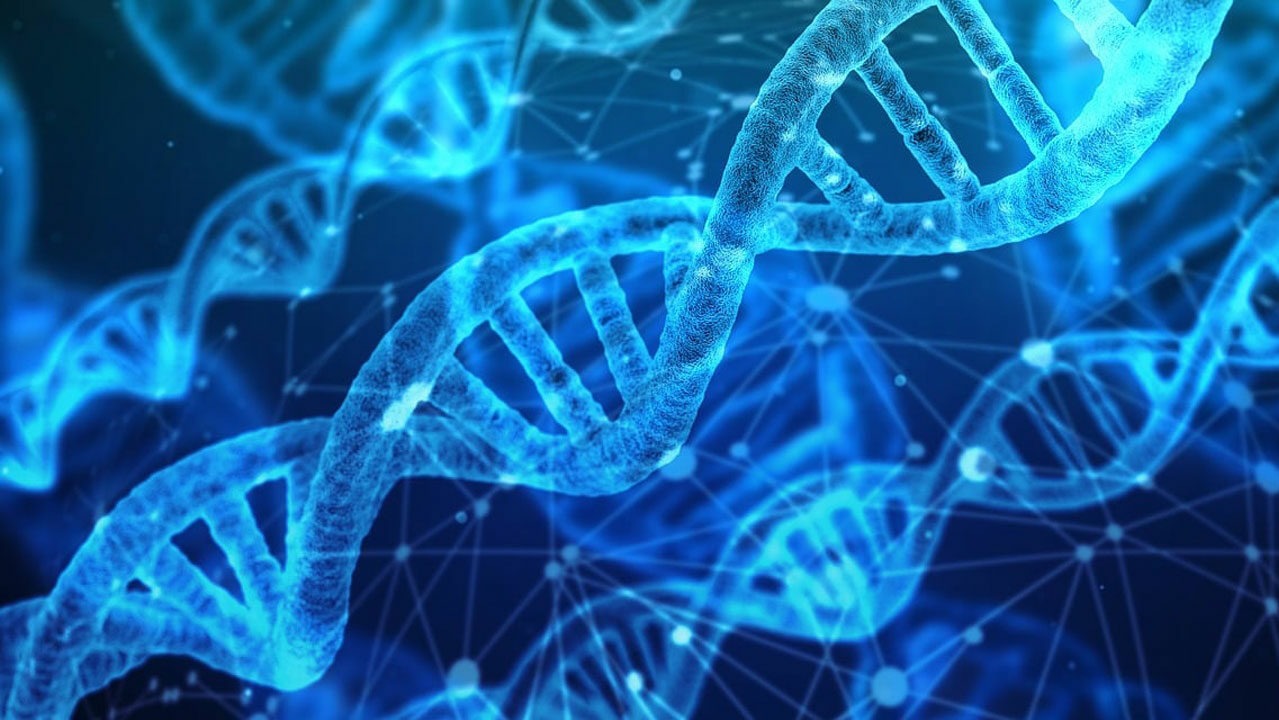 Genetic
