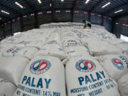 NFA rice auction clears up about 16,000 MT in warehouse space