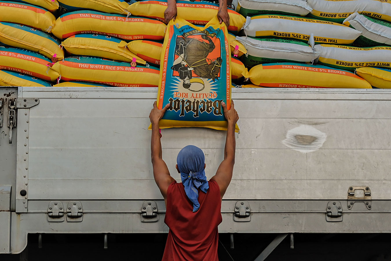 sacks of rice-worker