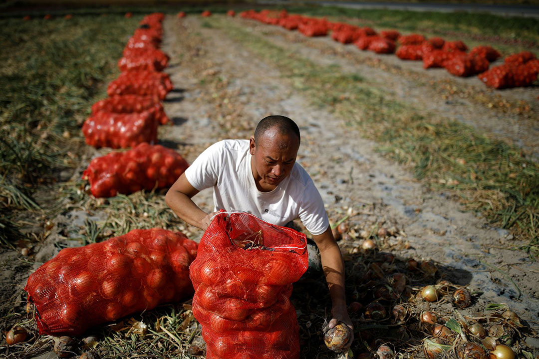China-glacier-farmer